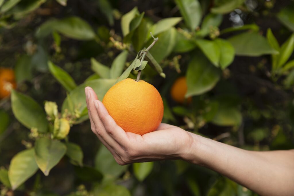 mujer-sosteniendo-naranja-su-mano